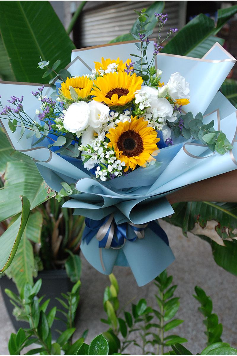 陽光朝氣向日葵Sunshine Blooms